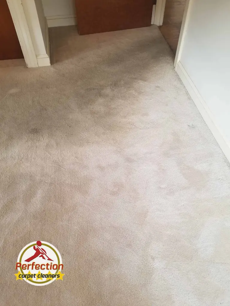 Carpet Cleaning