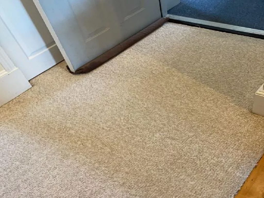 Carpet Stretcher Near Me