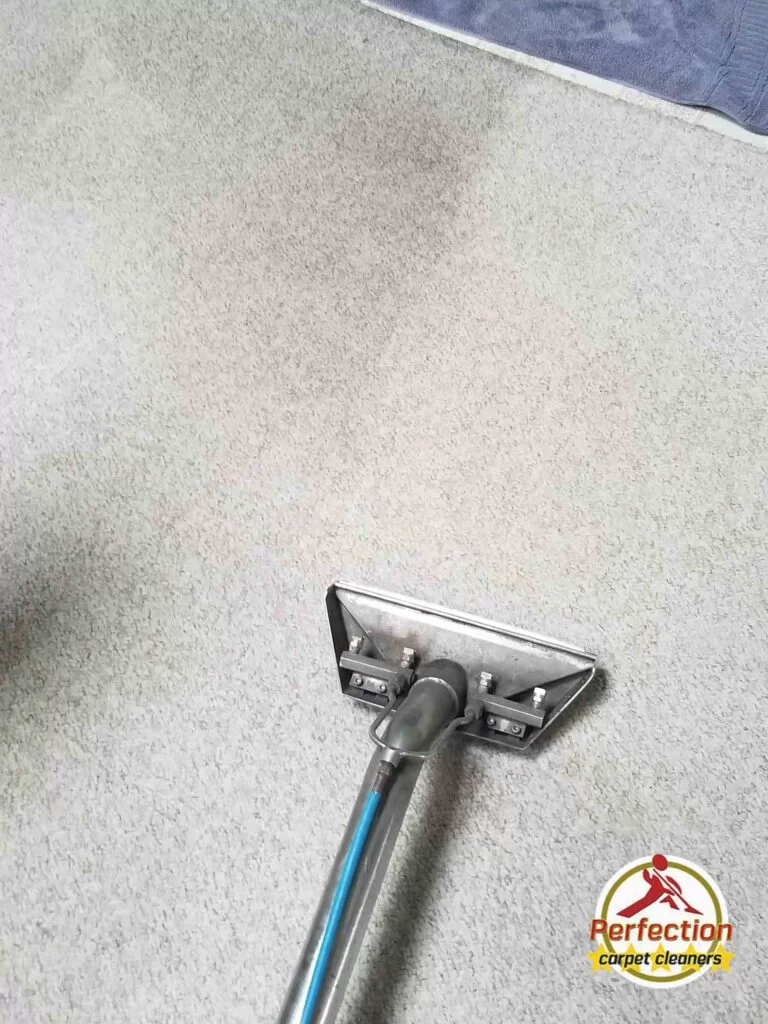 Carpet Cleaning