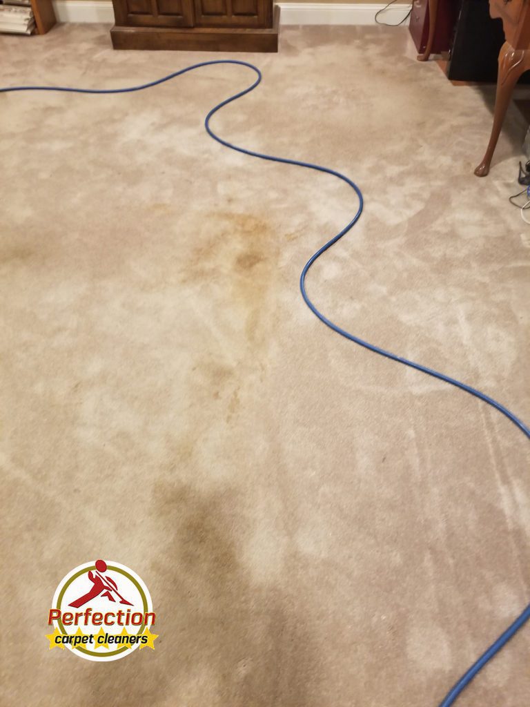 Remove Odors From Carpet
