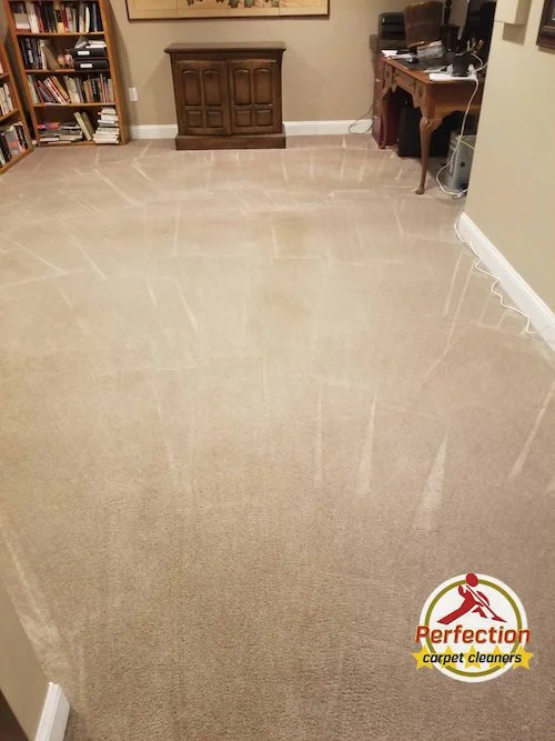 59-holyoke-street-Lynn-Ma-Perfection-Clean-Results