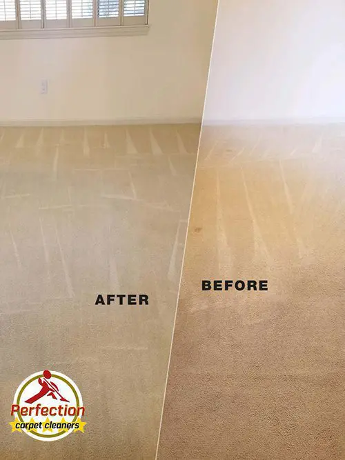 Carpet Cleaning Companies