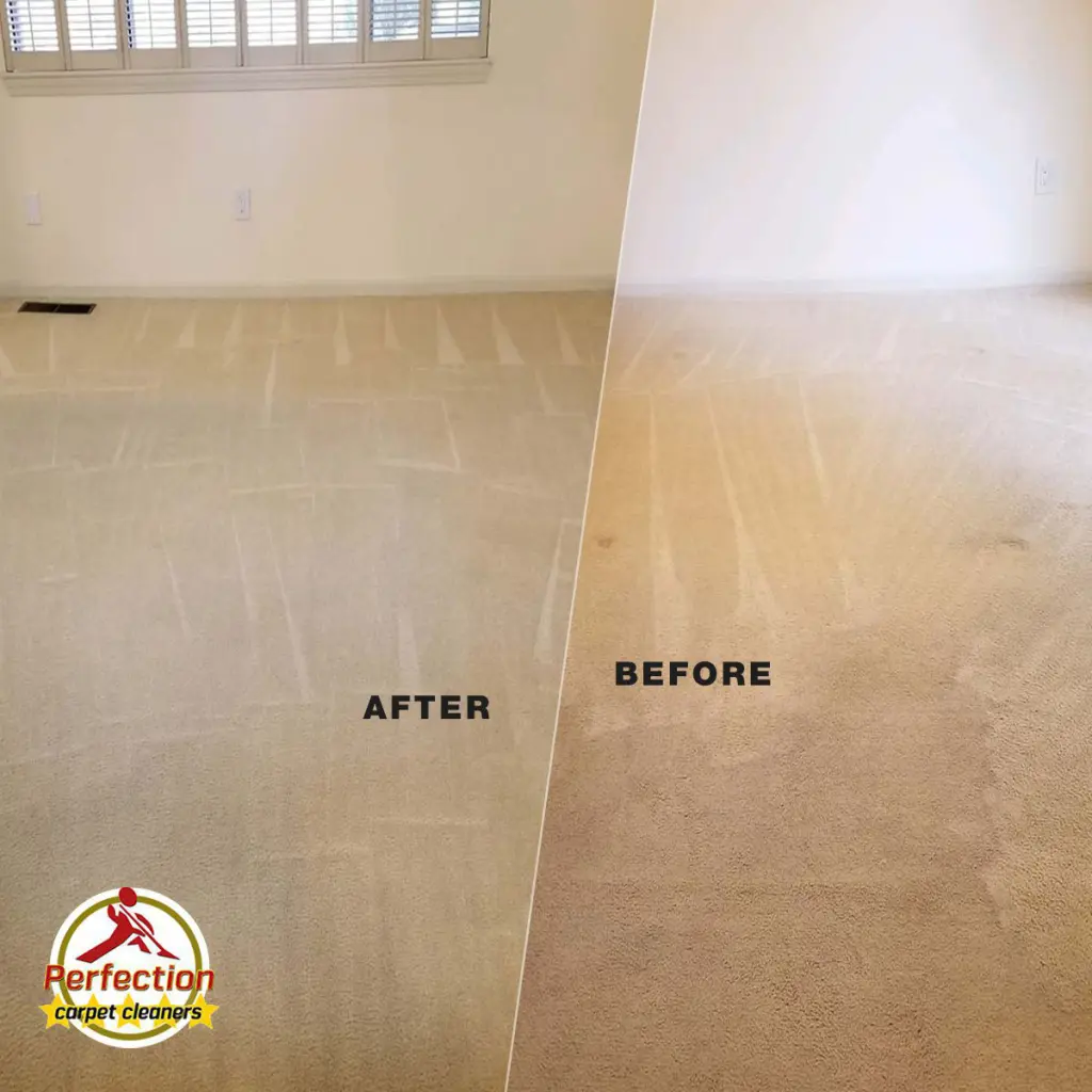 Carpet Cleaning Services