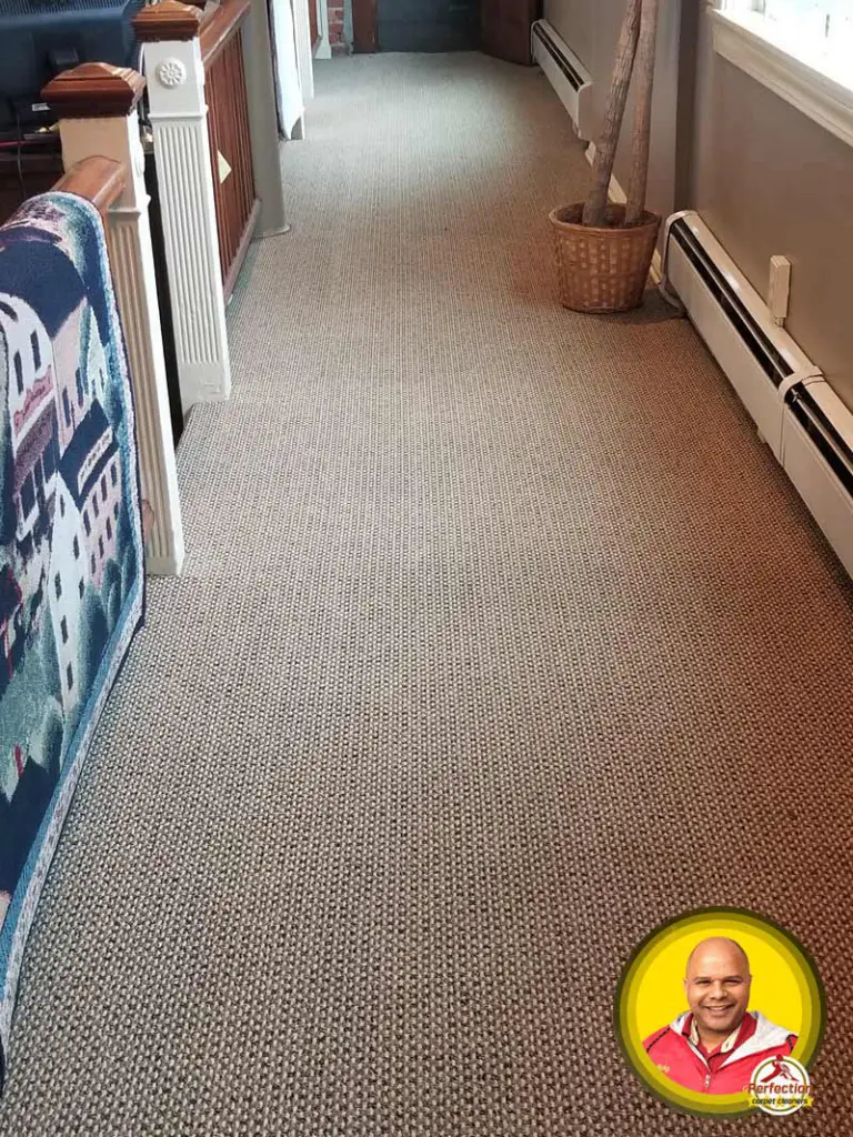 Carpet Cleaning Services