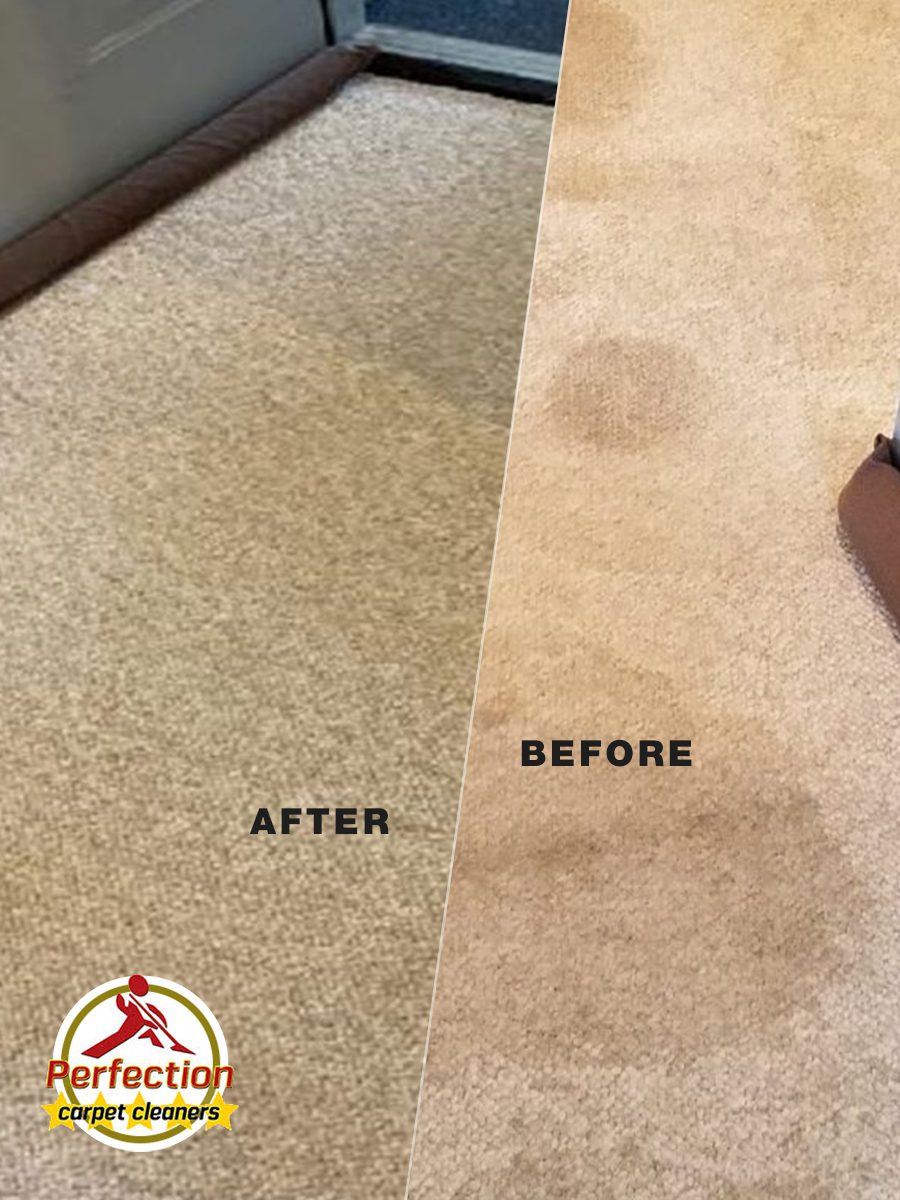 Carpet Odors Removal