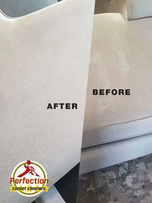 Pet Stain and Odor Removal Services in North Shore MA - Perfection Carpet Cleaners