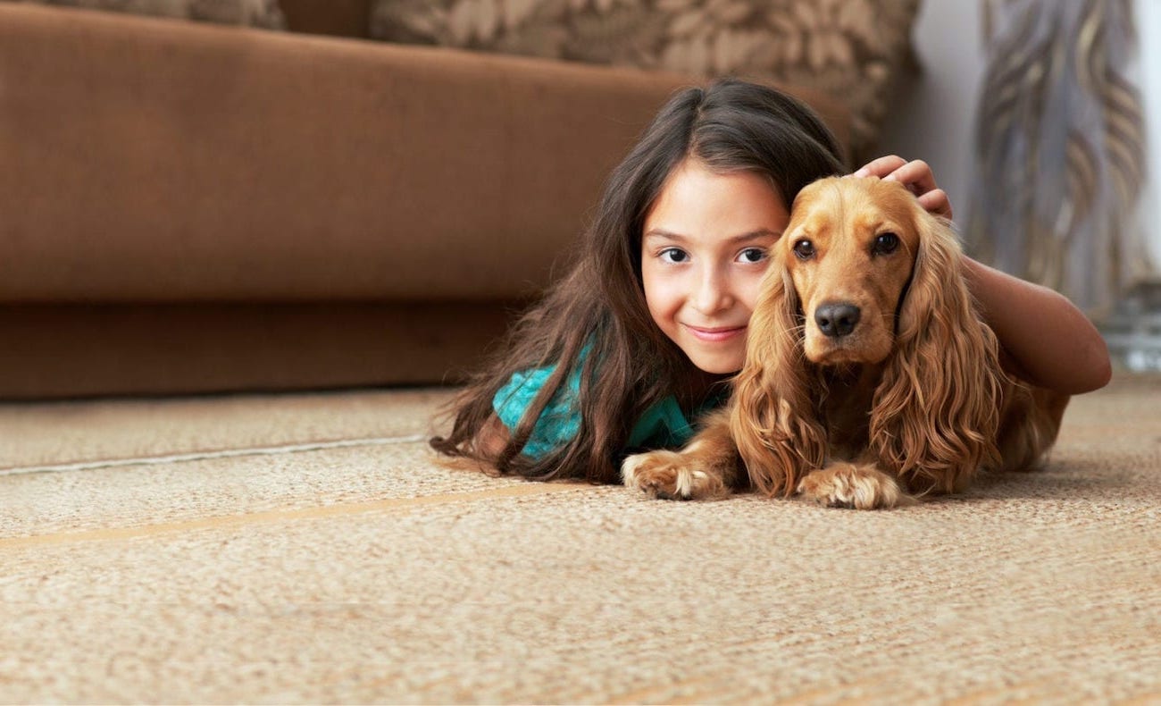 Pet Urine Treatment