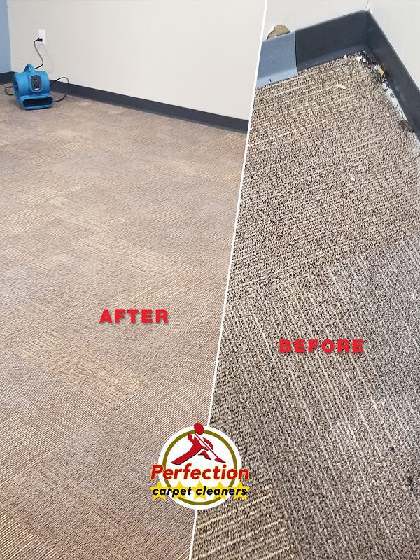 Allergen Removal from Carpet