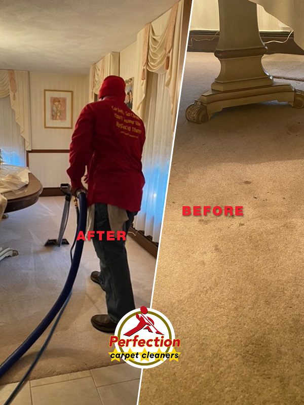 Professional Carpet Cleaning North Shore and surrounding areas