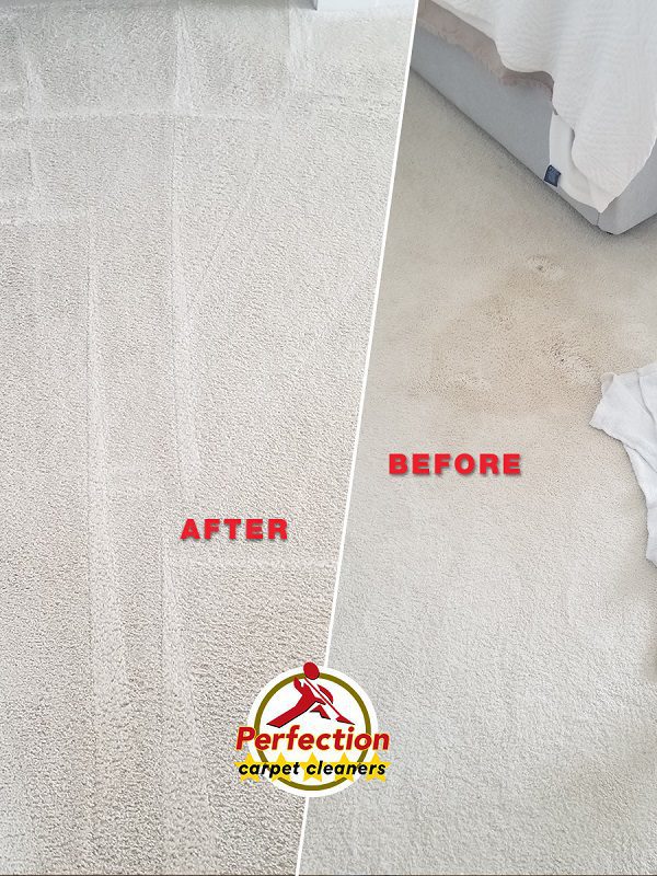 Carpet Cleaning and Repair