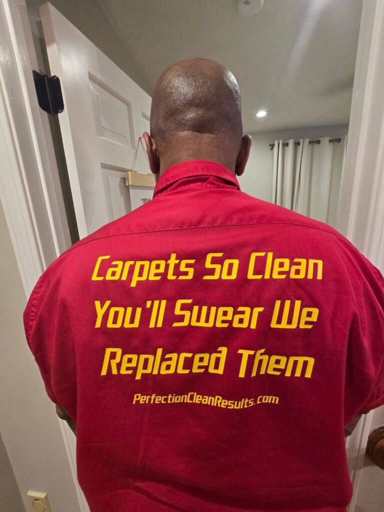 perfectioncleanresults