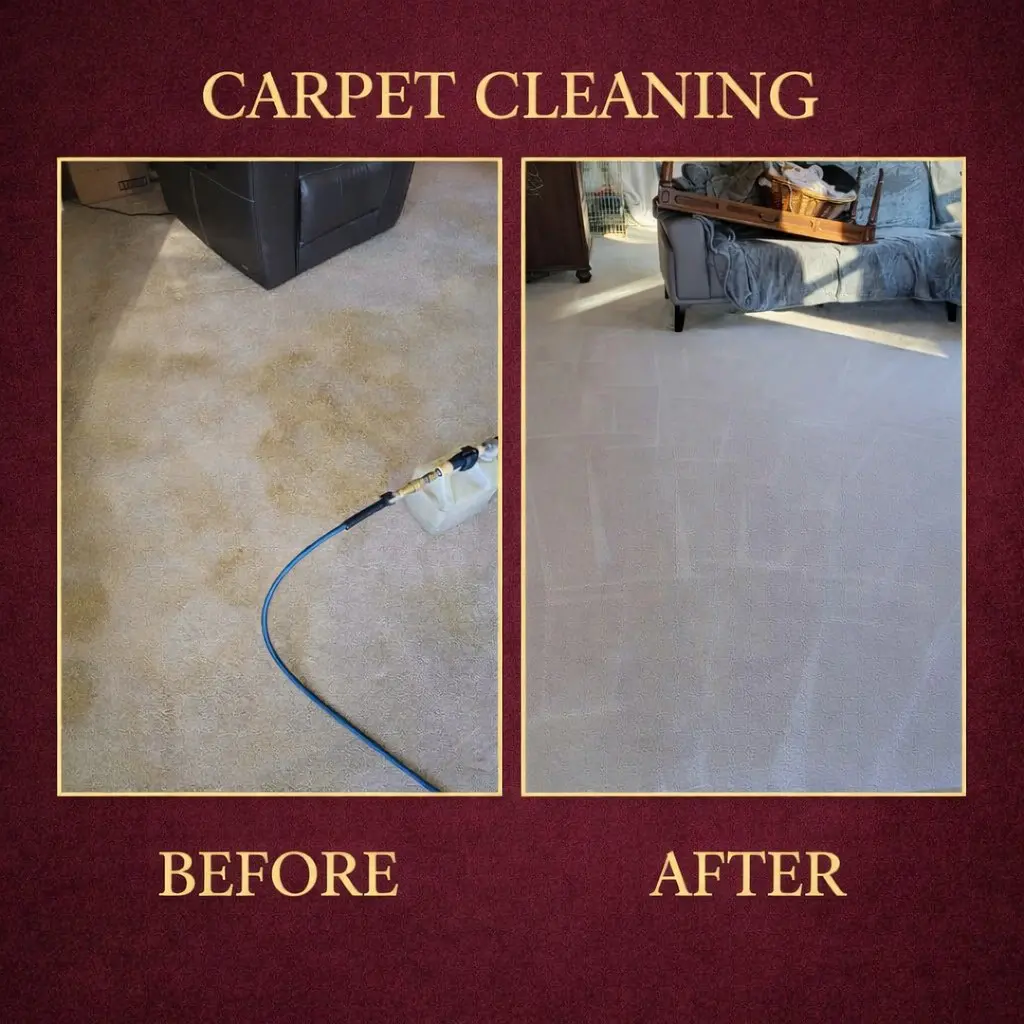 Carpet cleaning