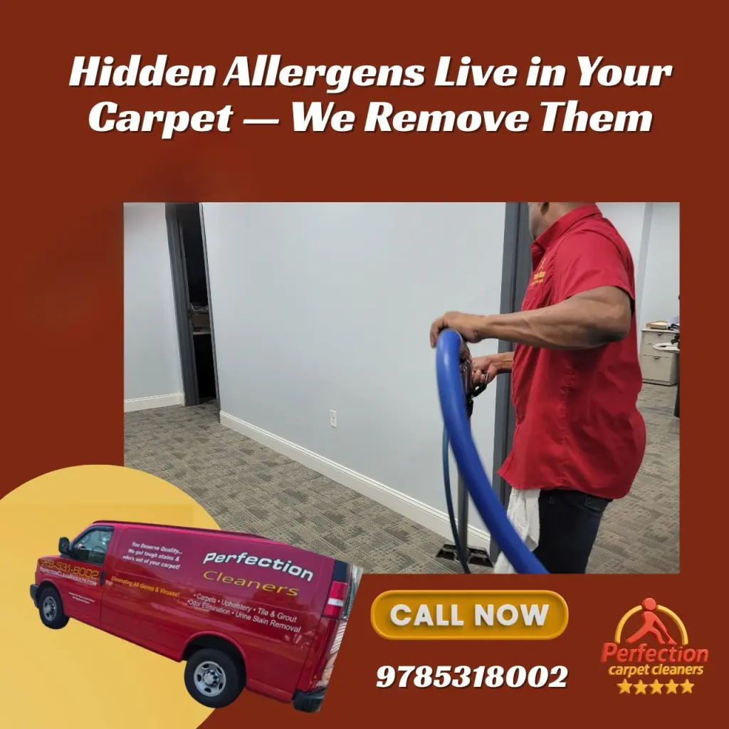 carpet cleaning peabody ma